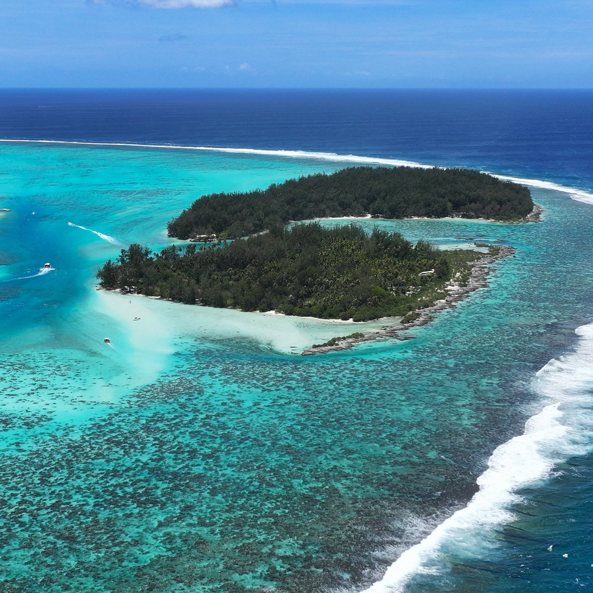 KILLSPENCER French Polynesia